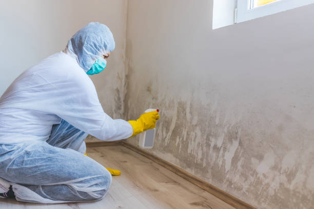 Mold Remediation specialist working in Burlington